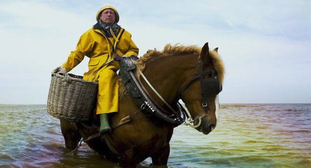 Mořský kůň: Když je rybář zároveň jezdcem