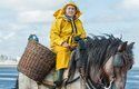 Rybáři loví garnáty do trychtýřovitých sítí vlečených koňmi po dně