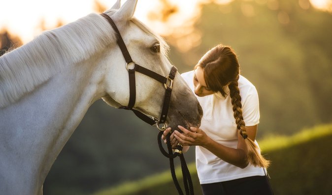 Hiporehabilitace: Koně řeší lidské trápení a přinášejí radost