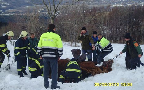 Při záchraně koně pomáhali hasičům policisté i lidé z okolí.