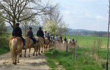 Čtyřčlenný gang kradl zvířata na maso: Rozporcovali i koně!