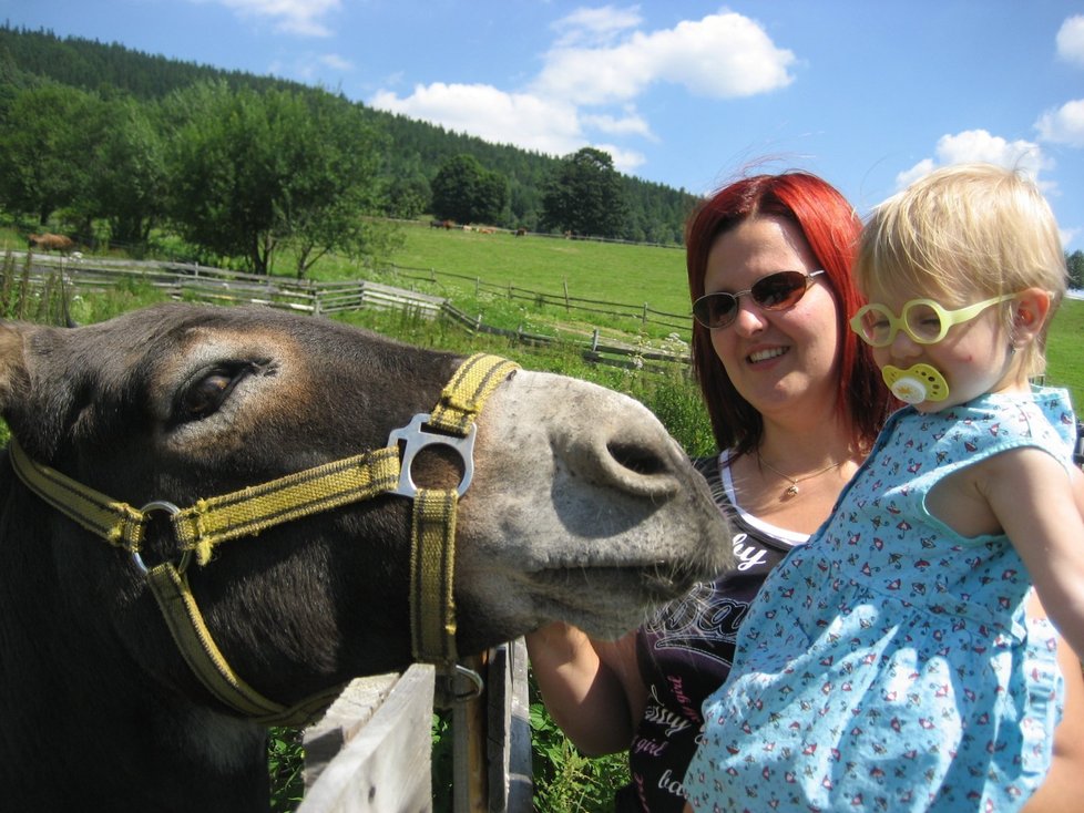 Na farmě Bovine si děti užijí blízký kontakt se zvířaty.