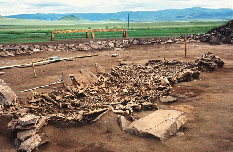 2700 let staré skytské pohřebiště z jižní Sibiře s koňskými kostrami