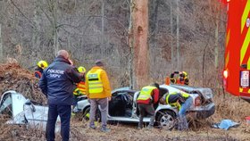 Dopravní nehoda na Bruntálsku: Řidič (†41) zraněním podlehl.
