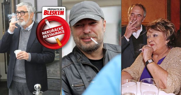 Zákaz kouření v restauracích se blíží: Co na to Bartoška, Bohdalová a spol.?