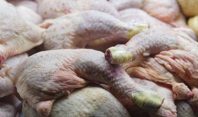 V Polsku se objevilo kuřecí maso z Česka se salmonelou. Najednou mlčíte, rýpli si Poláci