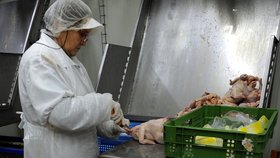 Maso plné antibiotik už našli na Slovensku: Jsme na řadě?