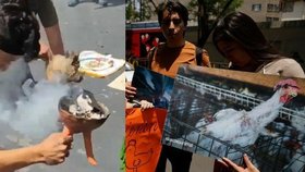 Krveprolití v mexickém senátu: Obětovali kuře! Kontroverzní akce vyvolala protesty