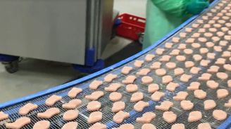 Factory: V Maďarsku denně vyrobí miliony kuřecích nuget pro McDonald's, kupují je i Češi