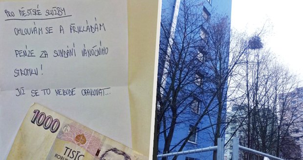 Vánoční stromek letěl v Kuřimi z okna: Anonym se za to omluvil, poslal i peníze
