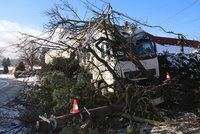 Kašel za půl milionu! Řidič dostal záchvat, pustil volant a kamion zřídil dva domy