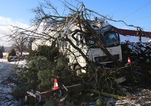 Takhle skončil na Kroměřížsku kamion, jehož řidiče zaskočil silný kašel. Celková škoda je půl milionu korun.