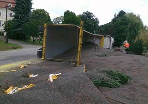 27 tun slunečnicových semínek se vysypalo z nákladního vozu při kuriózní nehodě na Znojemsku.