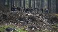 Pro účinný boj s kůrovcem bude podle experta nezbytné, aby Lesy ČR dostaly výjimku ze zákona o veřejných zakázkách