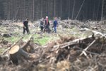 České lesy postihla kůrovcová kalamita, pomoci mají i studenti