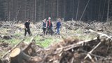 Do lesů chtějí nahnat studenty. Za boj s kůrovcem nabízí až 120 korun na hodinu 