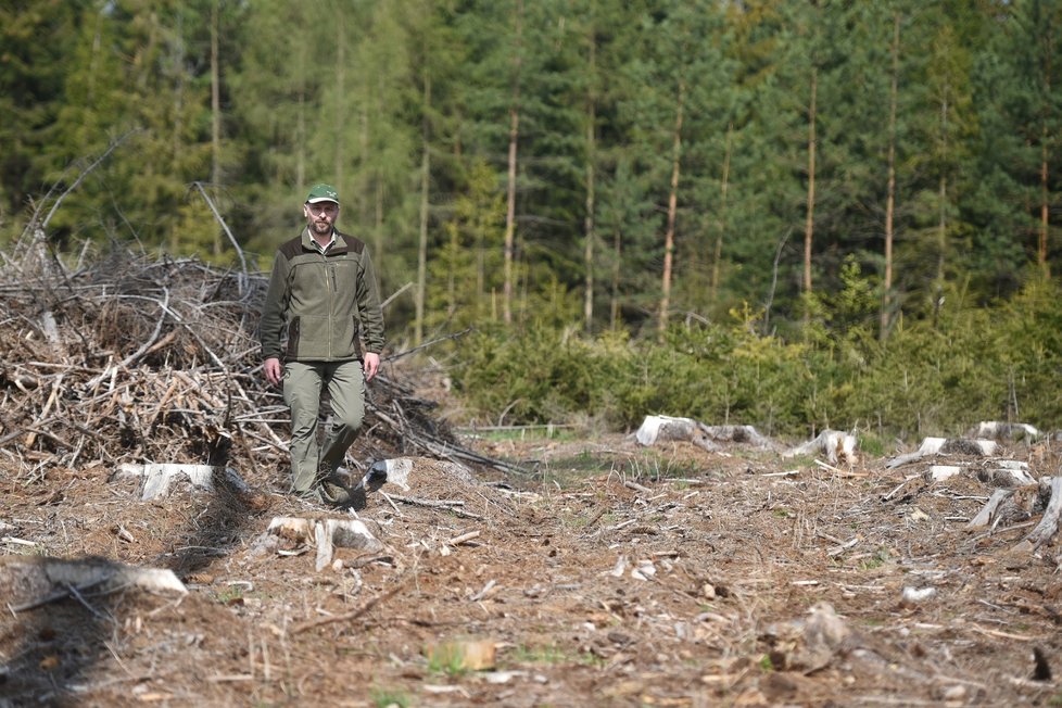 Kůrovcová kalamita, která zasáhla sedm krajů, je podle ministrů největší v ČR. Zvládnout ji potrvá roky mimo jiné výsadbou druhově pestrých lesů. K vytěžení nebo asanaci kůrovcem zasažených lesů bude třeba navíc 6000 pracovníků a také docházejících chemických prostředků