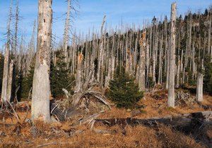 Chybějící les usnadňuje erozi v Čertově rokli. Ilustrační foto
