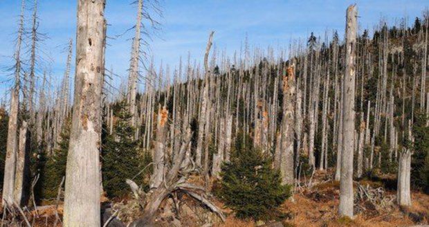 Chybějící les usnadňuje erozi v Čertově rokli. Ilustrační foto