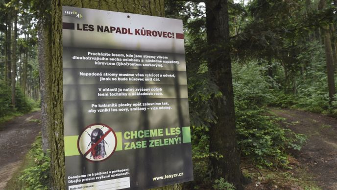 Kůrovec zase řádí v českých lesích. Na snímku pořízeném v lesích nedaleko Olomouce je tabule upozorňující na jeho výskyt.