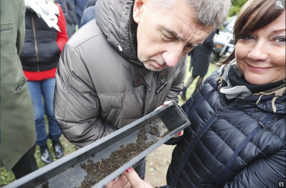Alena Schillerová a premiér Andrej Babiš koukají na škůdce, kteří nám ničí lesy
