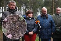 Vláda dá na boj s kůrovcem miliardy. Schillerová škůdce hledala na Švihově