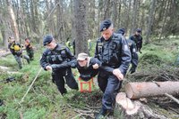 Blokáda na Šumavě: Aktivisté se přivázali ke stromům řetězy!