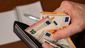 Přijmout či nepřijmout euro? Kde je hlavní problém?