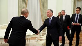 Steve Witkoff u Vladimira Putina (22. 1. 2026)
