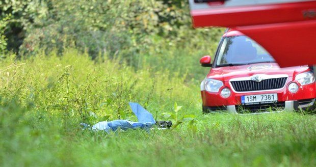 Děsivá tragédie na Plzeňsku: Senior na vozíčku uhořel při pálení trávy (ilustrační foto).