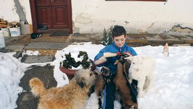 Ondra krmení Matěje, Ferdy, Bořka a Sparťánka moc baví. Fenka Betynka asi jen tiše závidí.