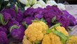 Ve vybraných obchodech je možné zakoupit fialovou, oranžovou i zelenou odrůdu květáku