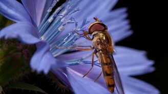 Úspěch přinese štěstí a další mýty, které vám brání toho opravdového dosáhnout Úspěch přinese štěstí a další mýty, které vám brání toho opravdového dosáhnout