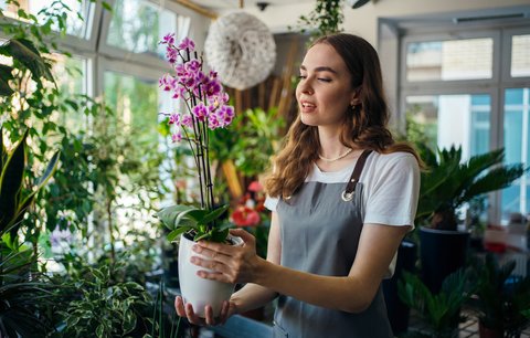 Tyhle květiny nebudou jen ozdobou domu! Které vám přinesou peníze, štěstí i pohodu?
