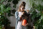 Jaro v bytě: Jak správně přesadit pokojové a balkonové rostliny