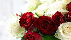 6 triků květinářů, aby vám růže ve váze vydržely