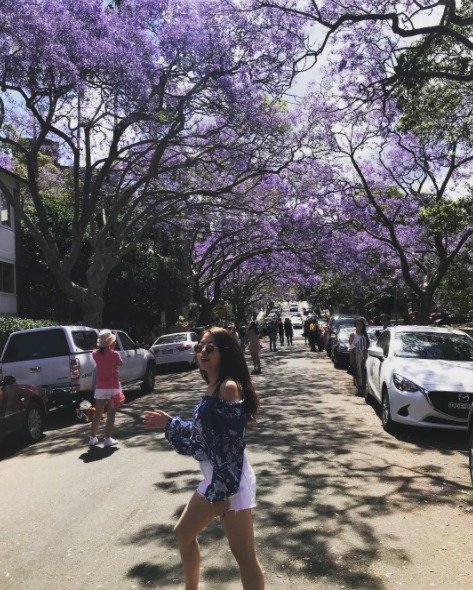 Turisté postávají uprostřed ulice v Sydney, aby si mohli vyfotit selfie s alejí rozkvetlých žakarand.