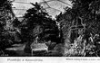 Pohlednice z Palmového skleníku z roku 1920, kde je vidět velká ptačí klec.