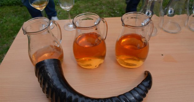 První slavnostní přípitek kvevri vínem se na počest Gruzínců odbyl jejich tradičními rohy.