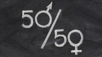 Německý genderový zákon o kvótách pro ženy ve vedení firem krachuje. Prý se naplní až za 30 let