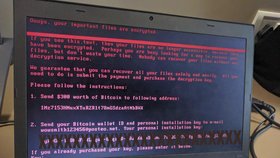 Zpráva, která se zobrazuje na napadených počítačích, žádá o zaplacení 300 dolarů v bitcoinech.