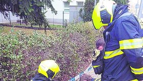 Nyní mají například policisté, hasiči, celníci či dozorci, kteří jsou ve sboru méně než tři roky a jsou v první tarifní třídě, 17 360 korun měsíčně. Nově by měli dostávat 17 710 korun.