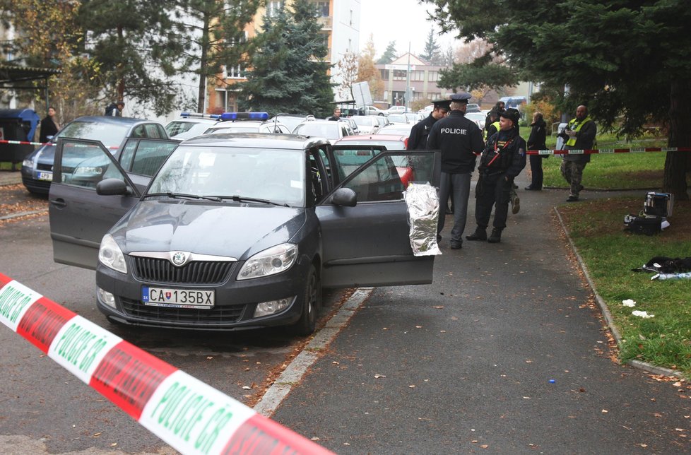 Tady, v plzeňské části Lobzy, zaútočil v listopadu 2013 Jan Dubský na bývalou partnerku kyselinou.