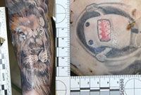 Na Ústecku vylovili z Labe mrtvého muže: Tetování pomůžou s identifikací, doufá policie