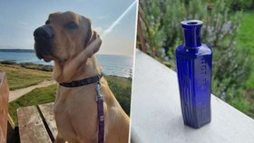Labrador Stanley objevil na zahradě lahvičku od jedu z roku 1865