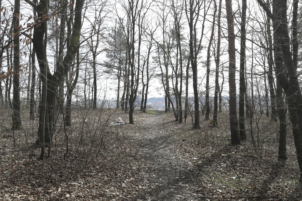 Takto dnes takzvaný nejošklivější kout Libně vypadá.