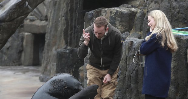 Zoo Praha nabízí především dětem zážitkové setkání se zvířaty. Mezi ně patří i lachtan Meloun, potomek Gastona, který zahynul při povodni.