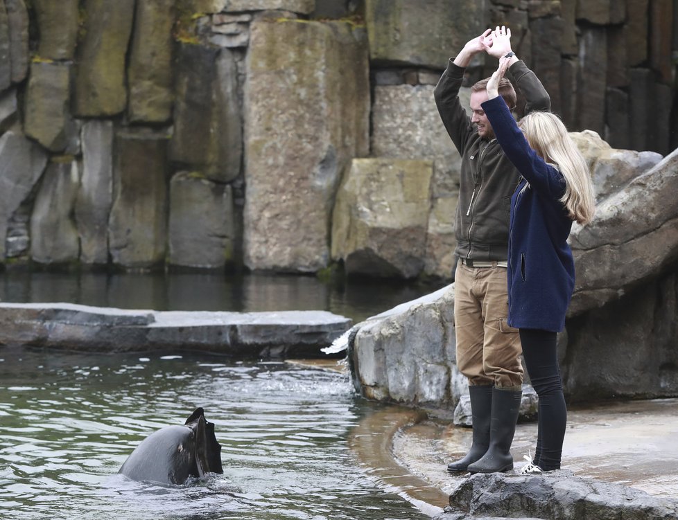 Zoo Praha nabízí především dětem zážitkové setkání se zvířaty. Mezi ně patří i lachtan Meloun, potomek Gastona, který zahynul při povodni.