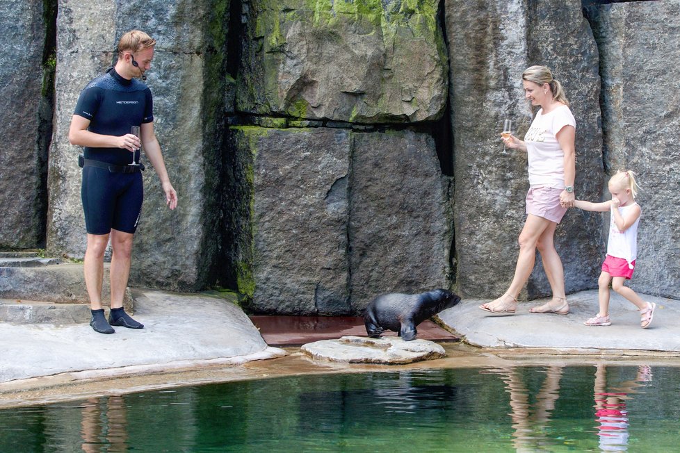 Malý lachtánek z pražské zoo se jmenuje Eda!