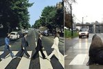 Lachtan přecházel přechod jako skupina The Beatles na obalu legendárního alba Abbey Road.